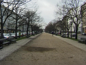 Baumstumpf, Andreas Slominski, Deutsche Guggenheim Berlin, 1998, Videofilm von Martin Kreyssig
