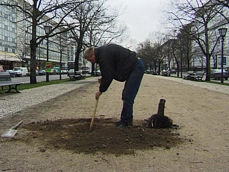 Baumstumpf, Andreas Slominski, Deutsche Guggenheim Berlin, 1998, Videofilm von Martin Kreyssig